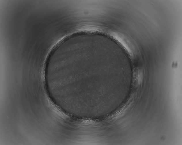 X0000093760399200711061115