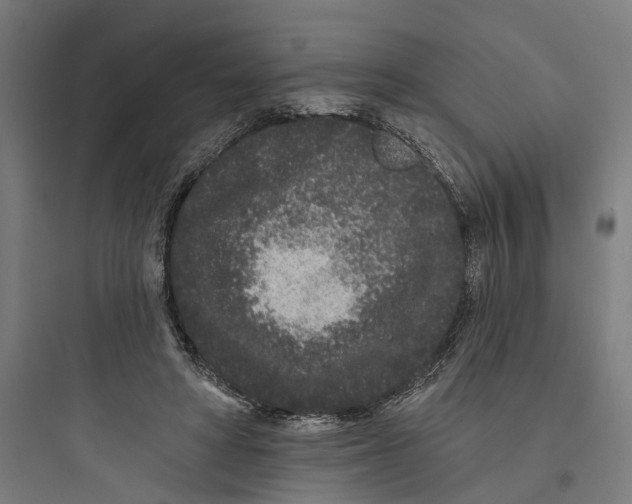 X0000093760402200711061115