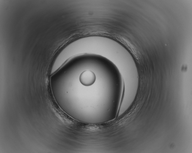 X0000093760405200711061115