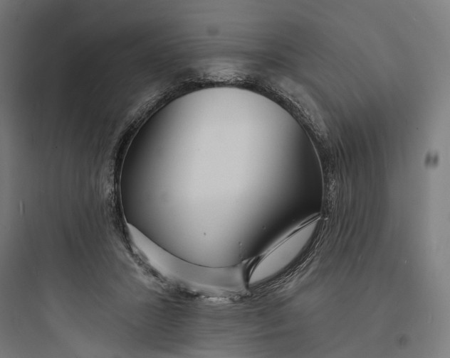 X0000093760407200711061115