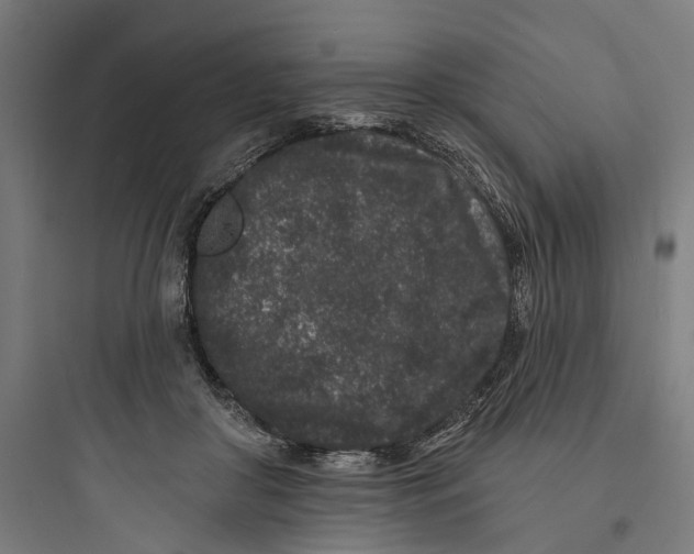 X0000093760410200711061115