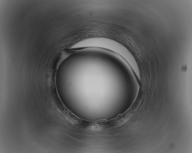 X0000093760416200711061115