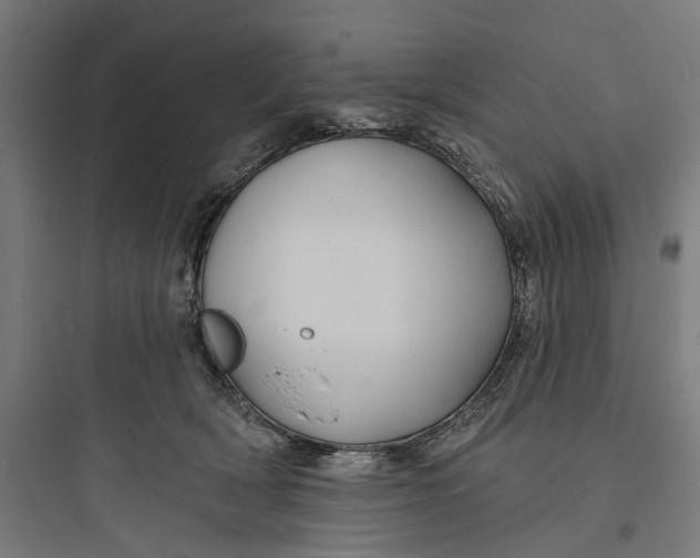 X0000093760418200711061115