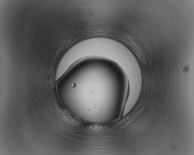 X0000093760419200711061115