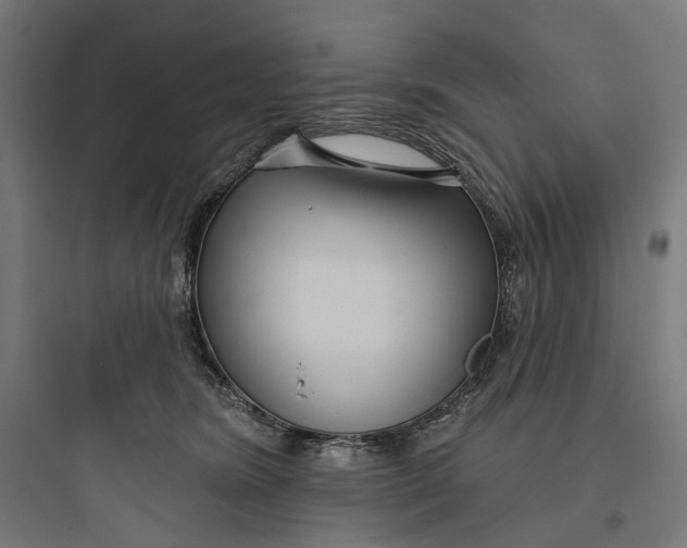 X0000093760420200711061115