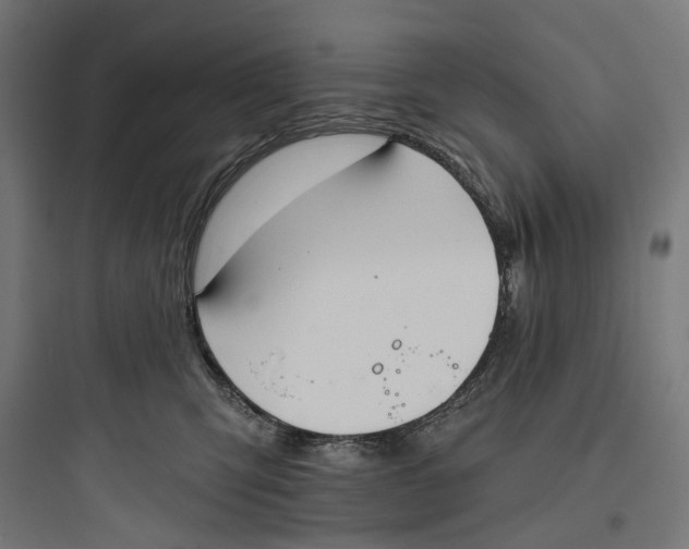 X0000093760423200711061115