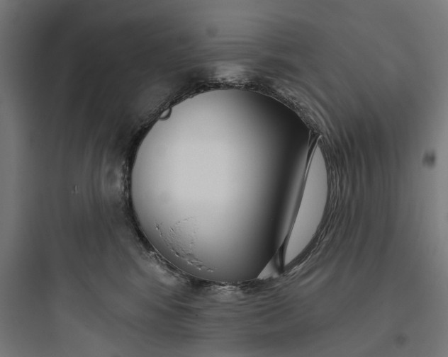 X0000093760424200711061115