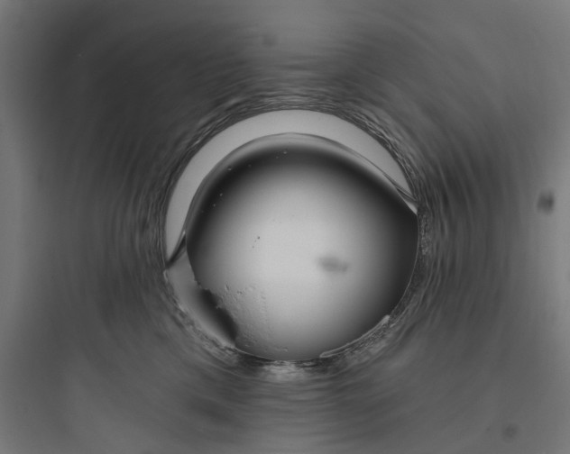 X0000093760425200711061115