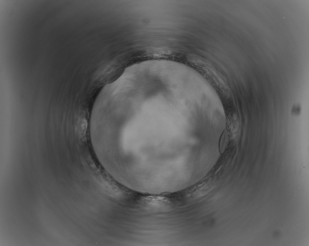 X0000093760427200711061115