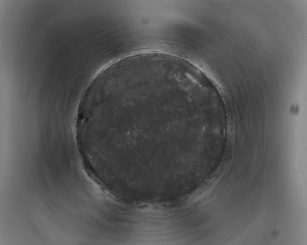 X0000093760434200711061114