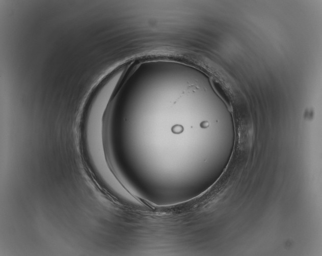 X0000093760436200711061114