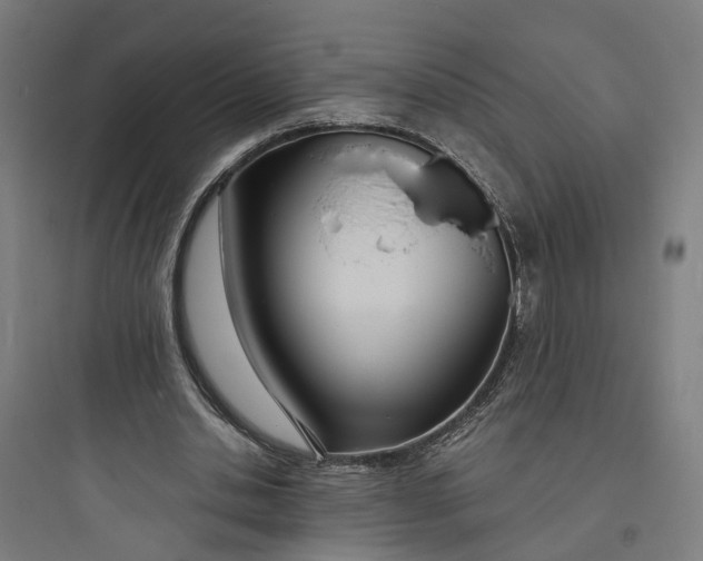 X0000093760438200711061114