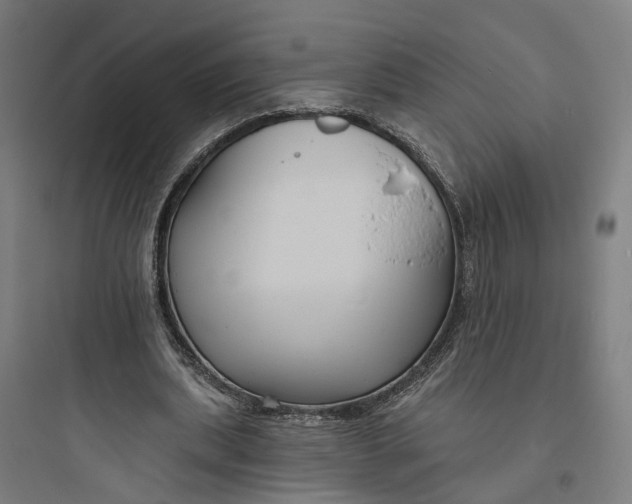 X0000093760439200711061114