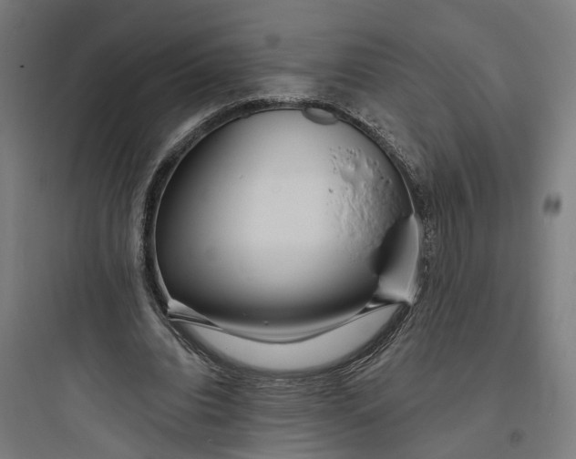 X0000093760440200711061114