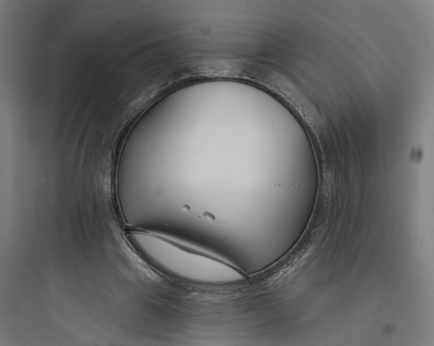 X0000093760441200711061114