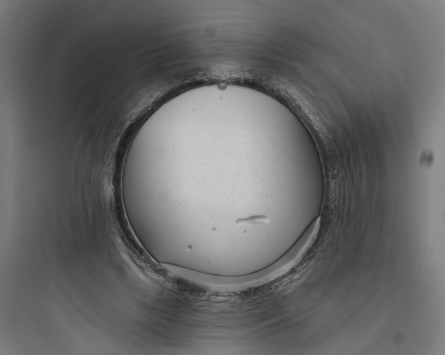 X0000093760443200711061114