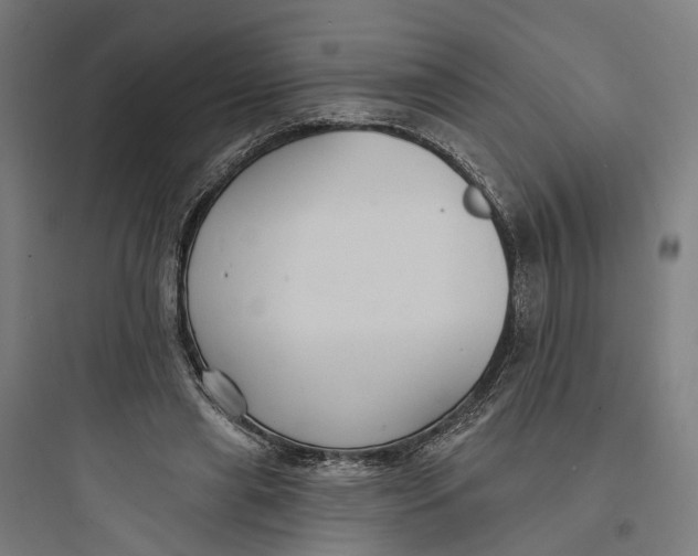 X0000093760445200711061114