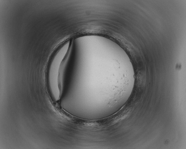 X0000093760446200711061114