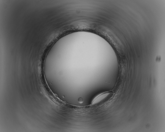 X0000093760447200711061114