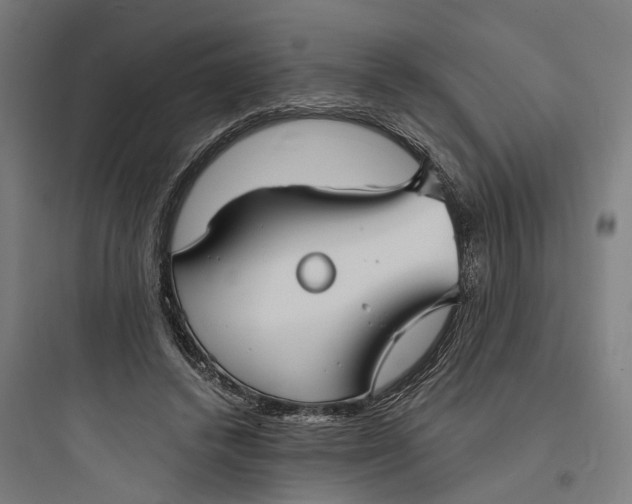 X0000093760448200711061114