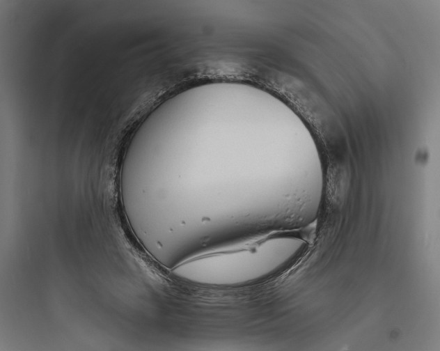 X0000093760449200711061114