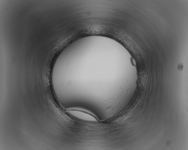 X0000093760450200711061114