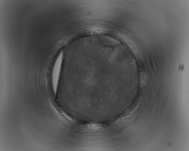 X0000093760451200711061114