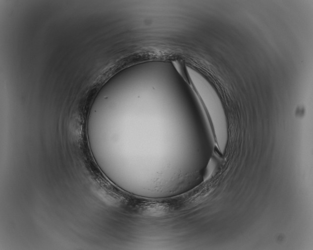 X0000093760456200711061114