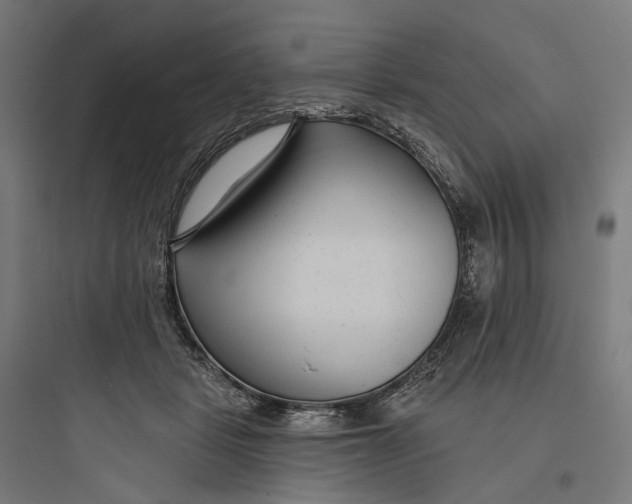 X0000093760461200711061115