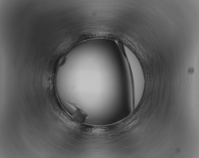 X0000093760462200711061115