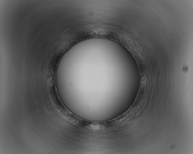 X0000093760464200711061115