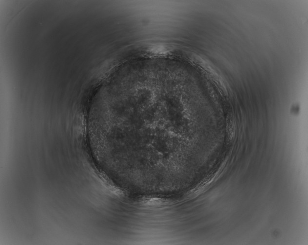 X0000093760467200711061115