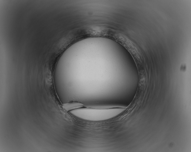 X0000093760469200711061115