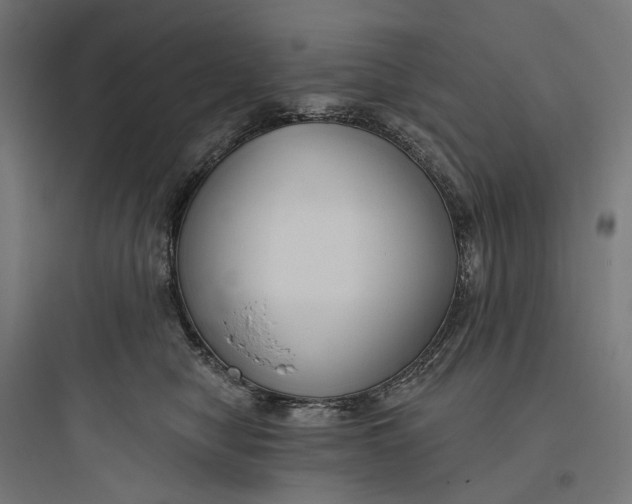 X0000093760470200711061115