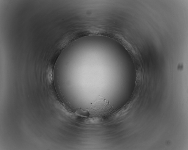 X0000093760479200711061115