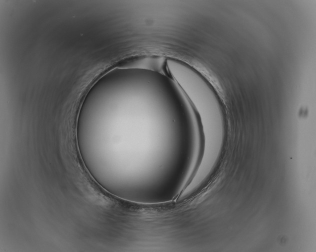 X0000093760481200711061114