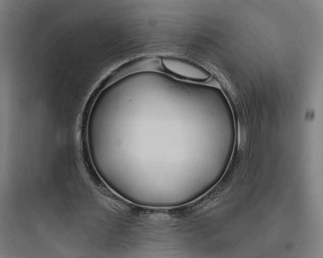 X0000093760483200711061114