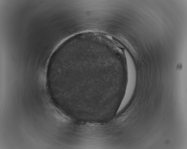 X0000093760484200711061114