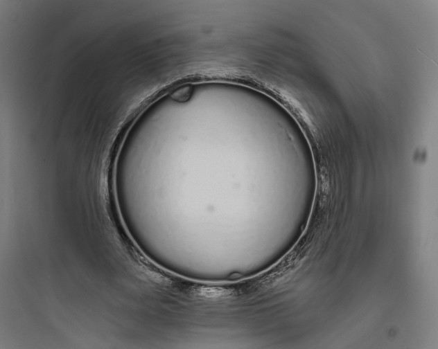 X0000093760487200711061114