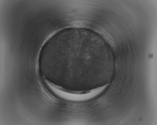 X0000093760488200711061114