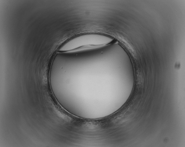 X0000093760489200711061114