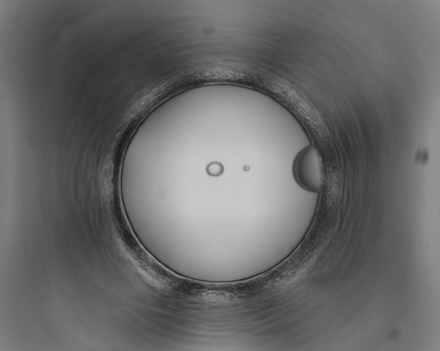 X0000093760490200711061114