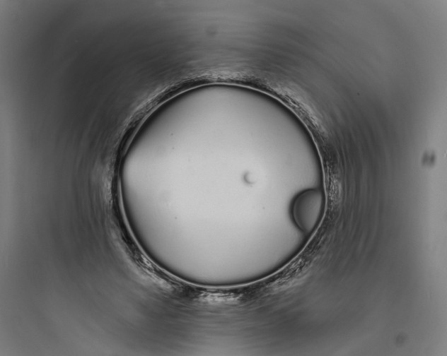 X0000093760491200711061114