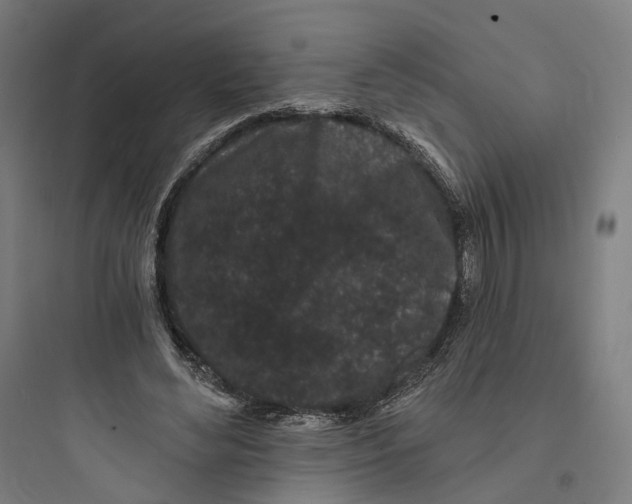 X0000093760492200711061114