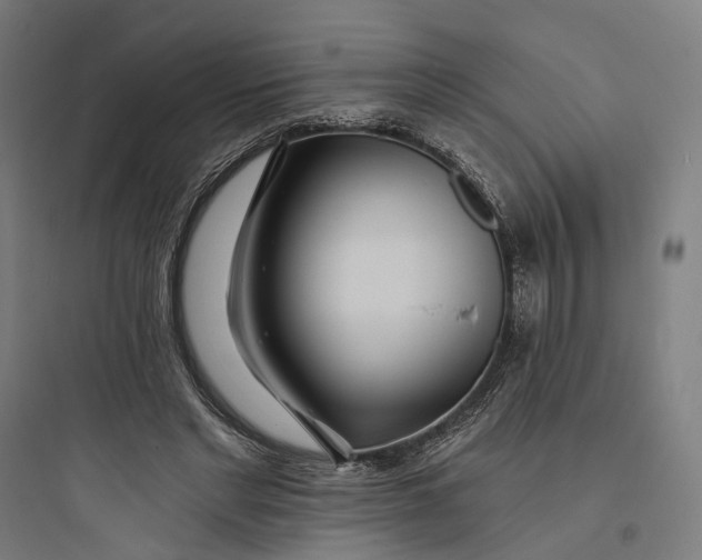 X0000093760493200711061114