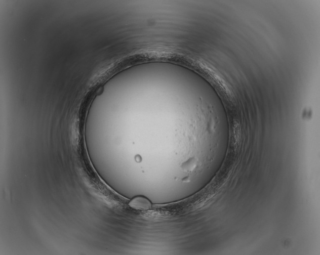 X0000093760494200711061114