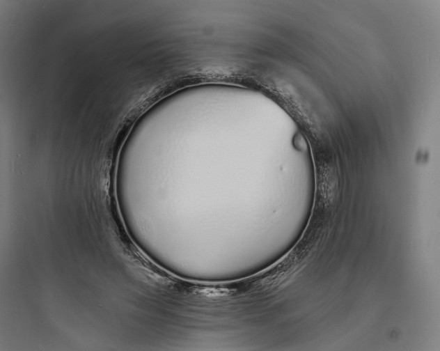 X0000093760495200711061114