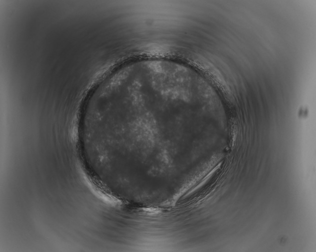 X0000093760496200711061114