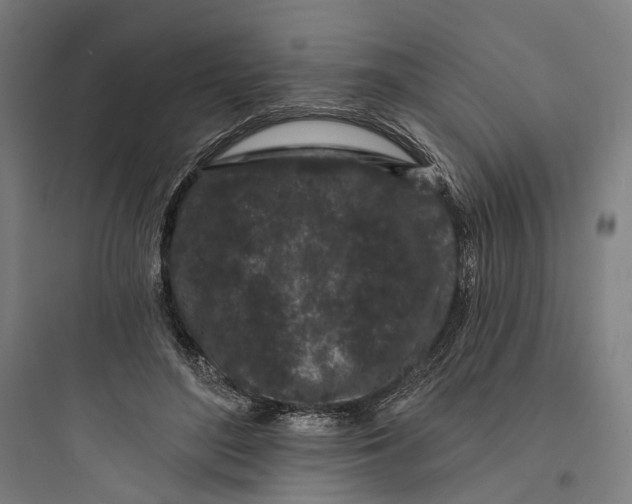 X0000093760500200711061114