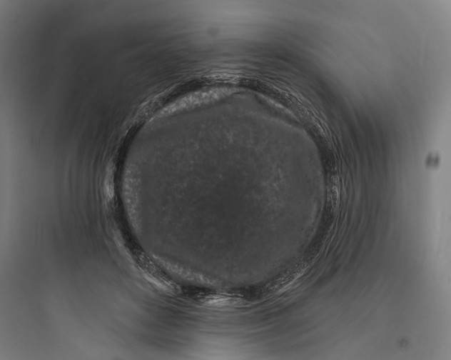 X0000093760504200711061114